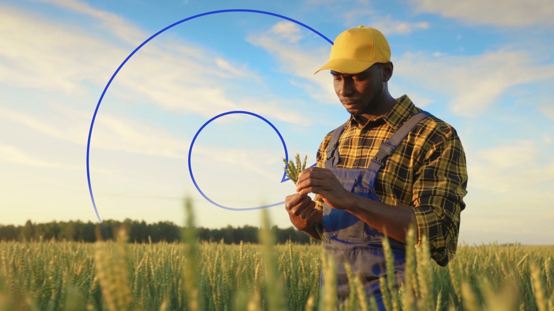 Produtor rural segurando espigas de trigo na lavoura